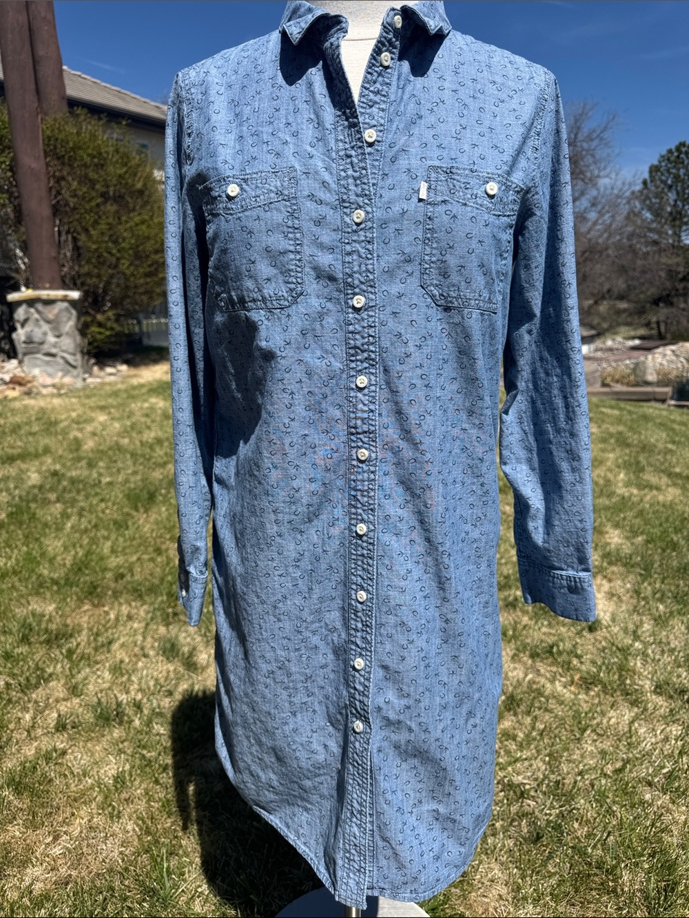 Levi's Light Blue Denim Button-Down Horseshoe and Bird Dress